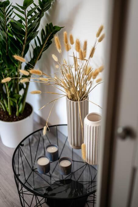 Elegant Fully Equipped Apartment Near City Centre كاندية المظهر الخارجي الصورة